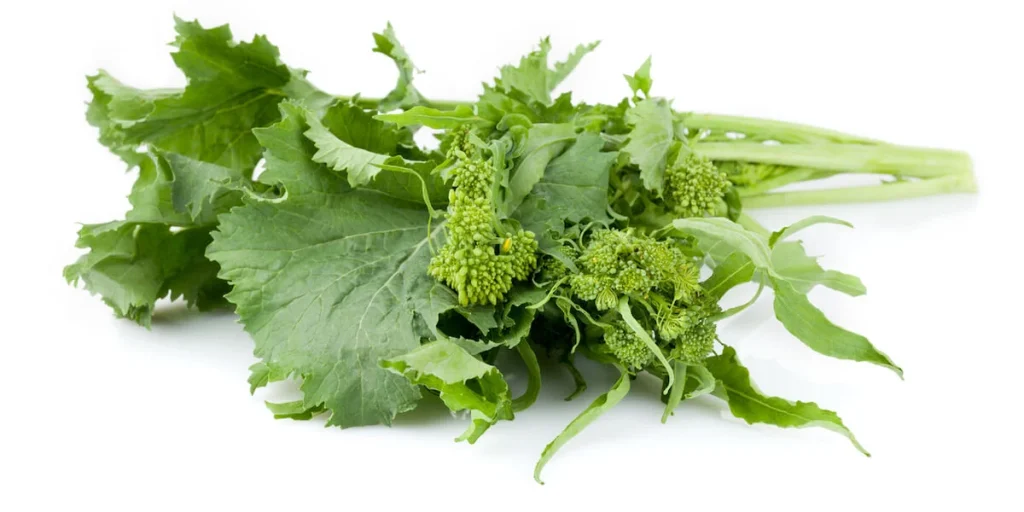 What Is Rapini? 
