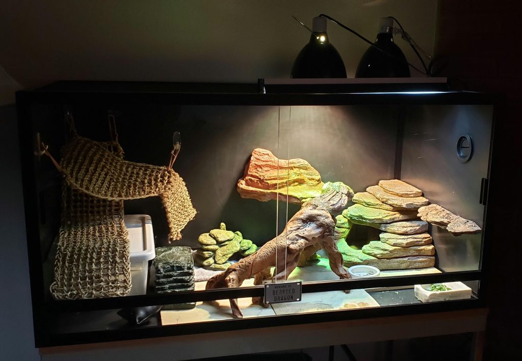 Which material should you use for setting up 120 Gallon Bearded Dragon Tank